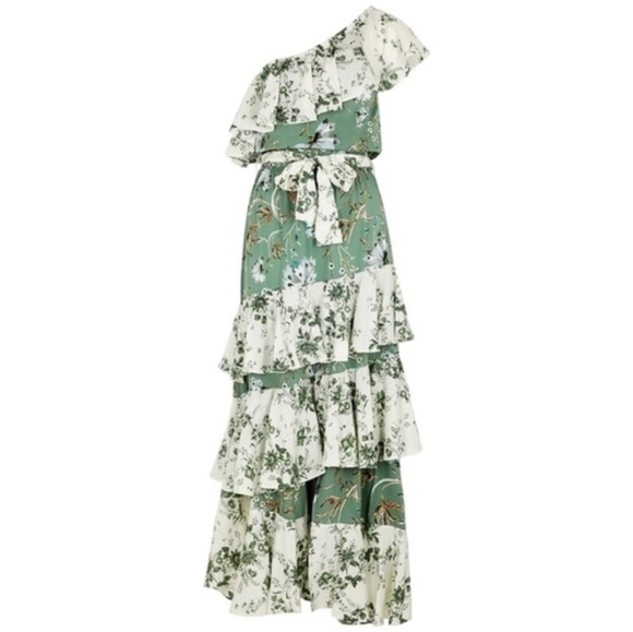 MISA Faena Floral-print Ruffle-trimmed Maxi Dress - Picture 7 of 8